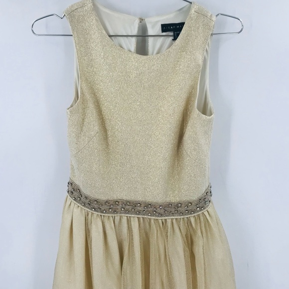 Aidan Mattox Chiffon Sleevless Gown in Champagne Size 6 - Picture 2 of 7